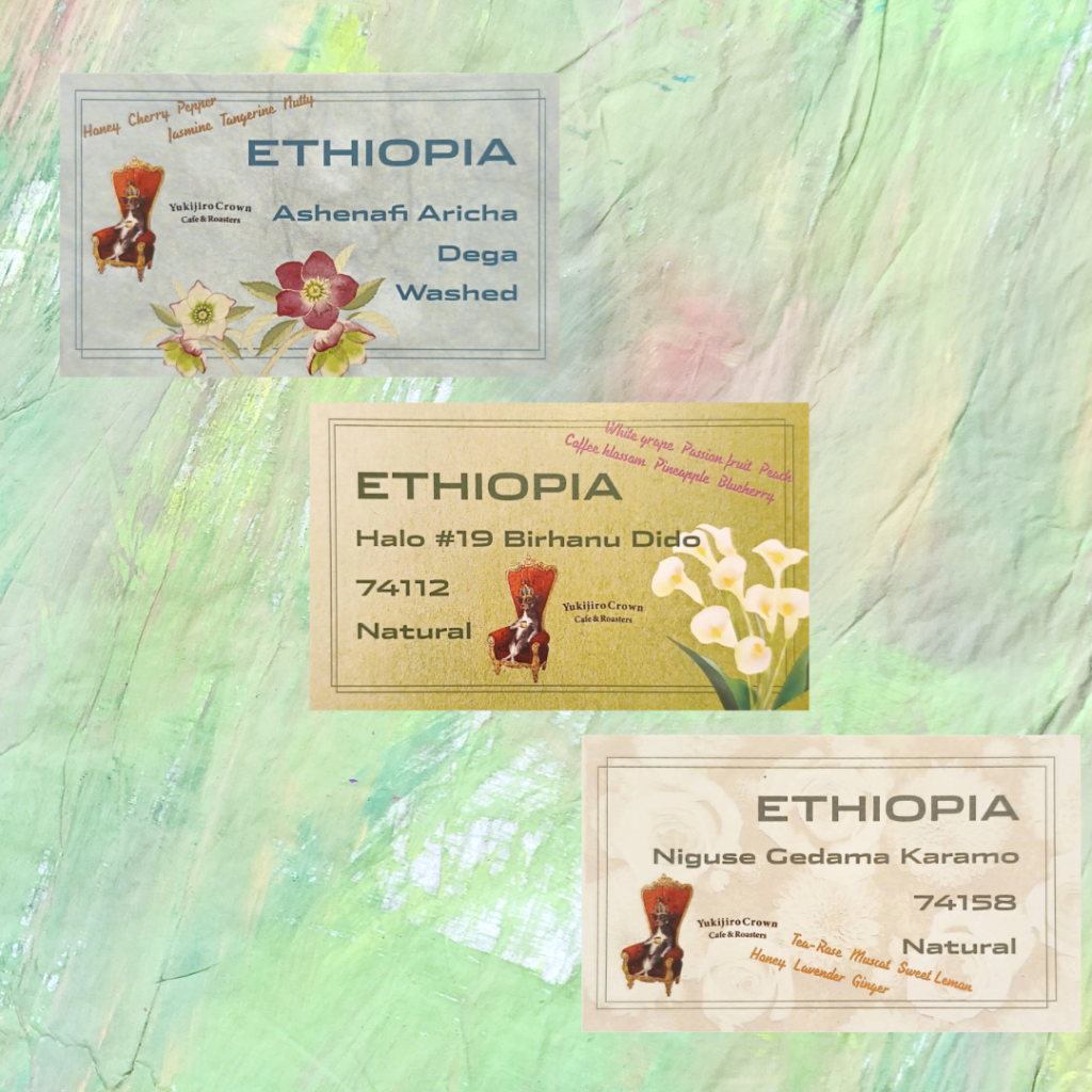 Ethiopiaの豆３種類のビーンズカード